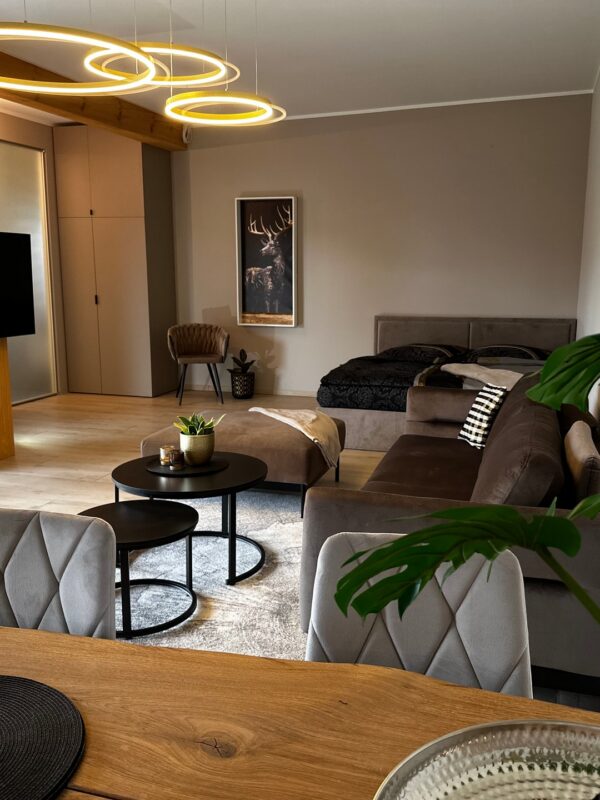 apartament-loft-no-39-w-mosznej-galeria-20 apartament-loft-no-39-w-mosznej-galeria-20