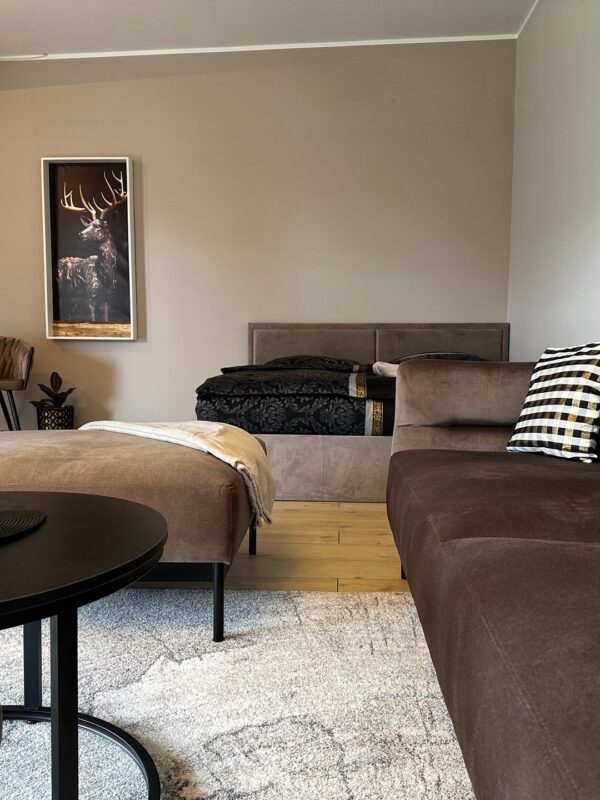 apartament-loft-no-39-w-mosznej-galeria-23 apartament-loft-no-39-w-mosznej-galeria-23