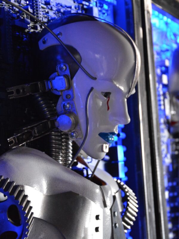 Muzeum Robotów w Mosznej - co warto zobaczyć w Mosznej. Muzeum Robotów w Mosznej - co warto zobaczyć w Mosznej.