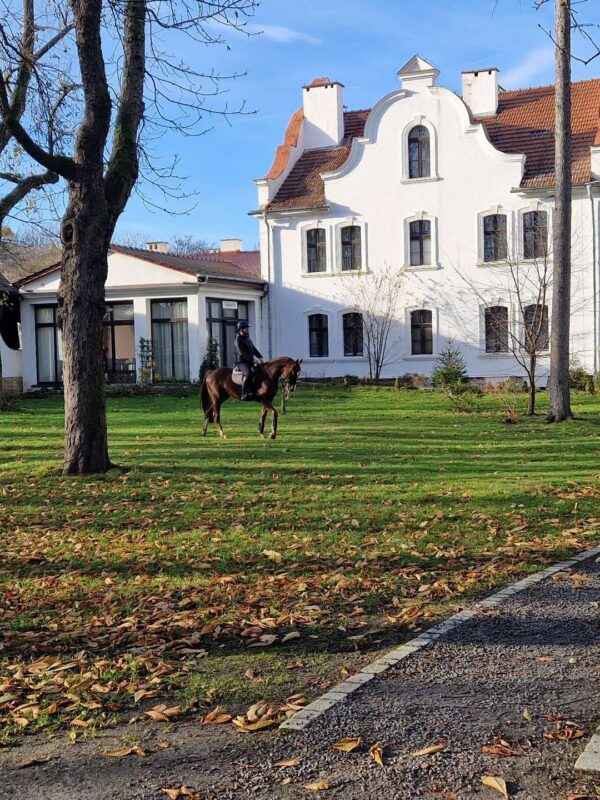 Apratamenty Moszna - klimatyczne miejsce do wypoczynku dla calej rodziny w poblizu Stadniny Koni w Mosznej Apratamenty Moszna - klimatyczne miejsce do wypoczynku dla calej rodziny w poblizu Stadniny Koni w Mosznej