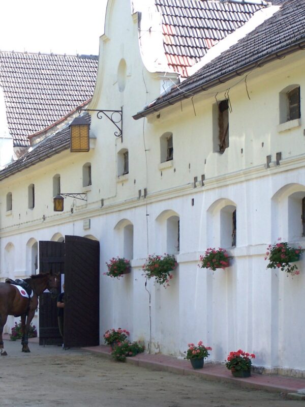 Wypoczynek wakacyjny dla całej rodziny w Mosznej - Apratamenty Moszna Wypoczynek wakacyjny dla całej rodziny w Mosznej - Apratamenty Moszna