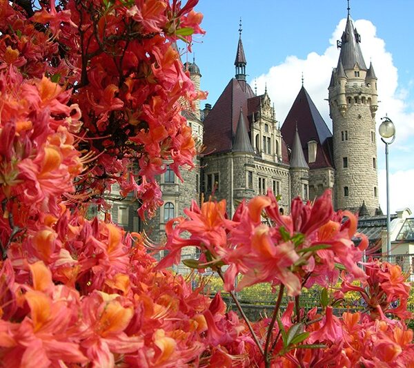 apartamenty-moszna-zamek-galeria-01 apartamenty-moszna-zamek-galeria-01