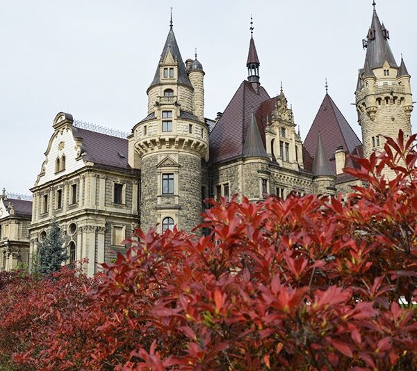 apartamenty-moszna-zamek-galeria-06 apartamenty-moszna-zamek-galeria-06