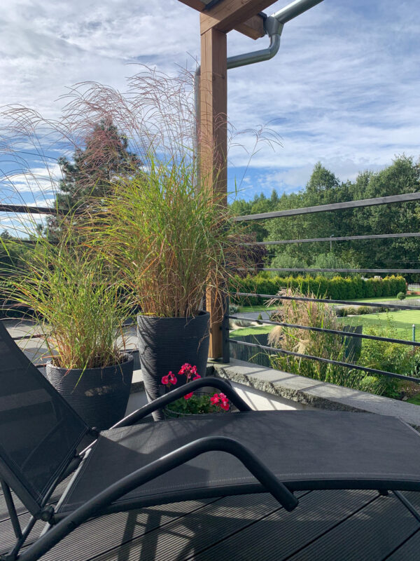 Bliskość natury i luksus - to Apartament Moszna No 39 w pobliżu Zamku Moszna. Bliskość natury i luksus - to Apartament Moszna No 39 w pobliżu Zamku Moszna.